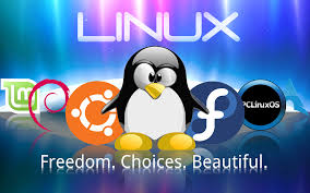 Linux installation